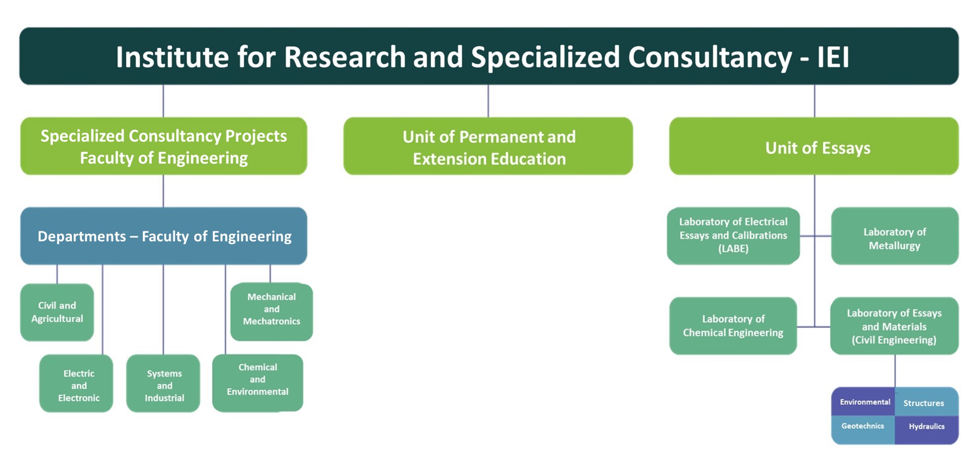 IEI Organization