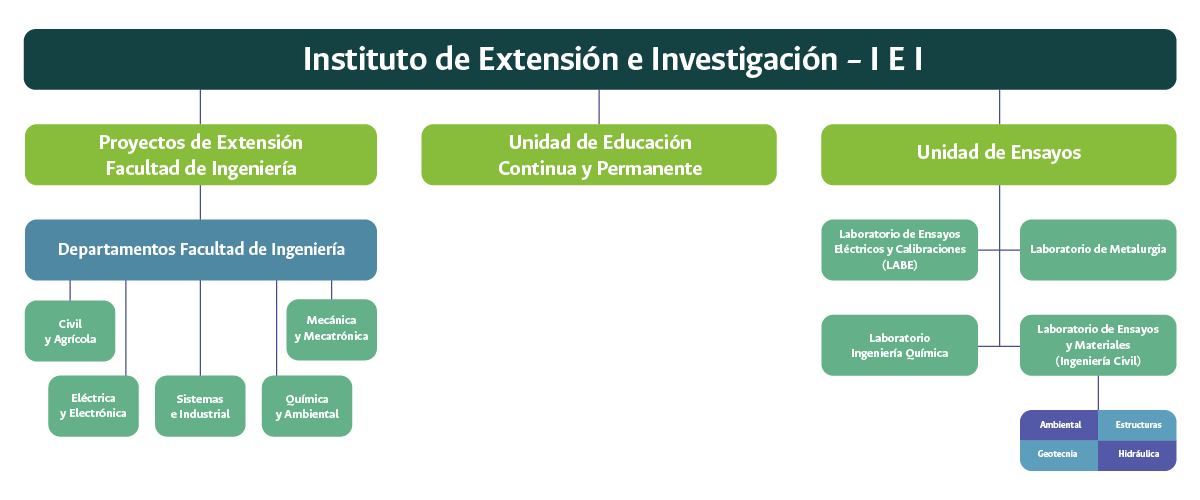 IEI - Organigrama